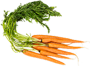 Carrots