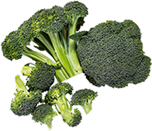 Broccoli
