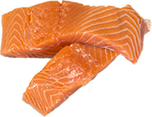 Salmon