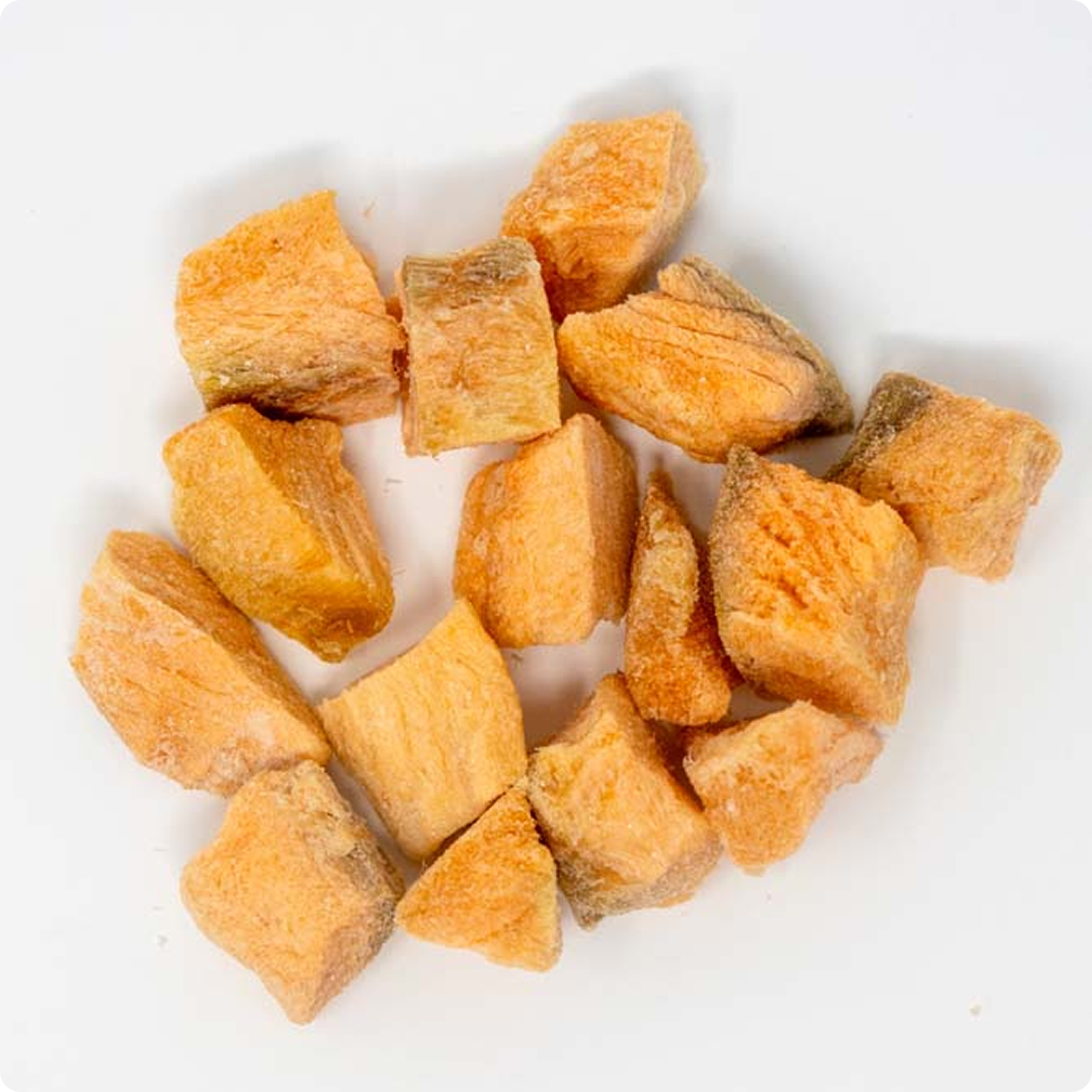 Freeze Dried Raw Salmon Filet Treats